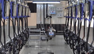 MILKING SYSTEMS