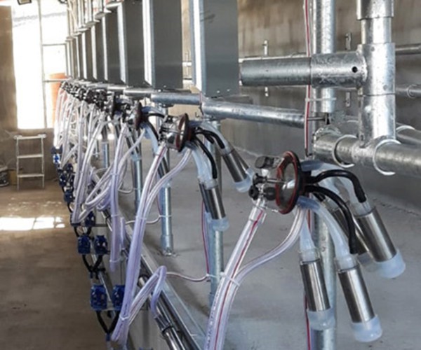 ONE SIDED MILKING PARLOUR